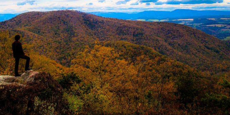 Blue Ridge Parkway in Virginia