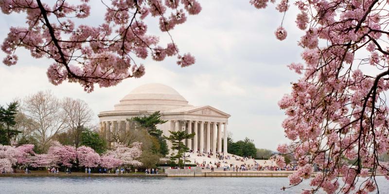 Washington da bienvenida a la primavera con los cerezos en flor